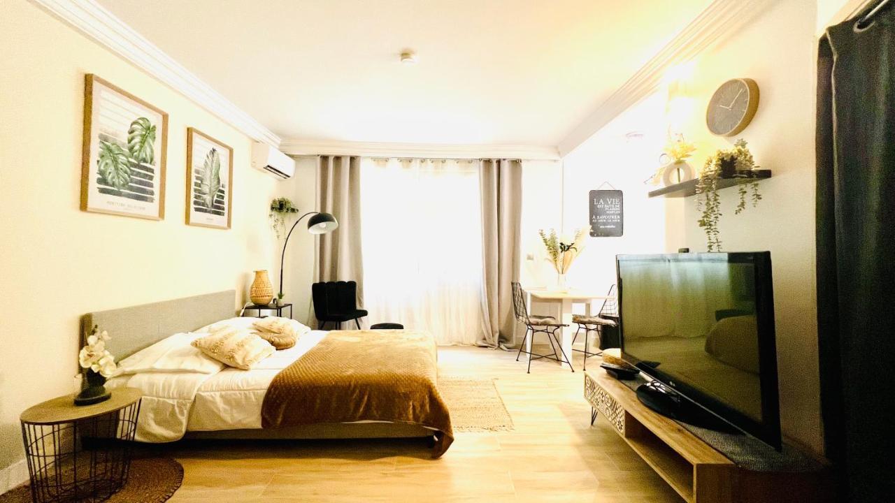 Le Miramar Nice - Clim, Parking, Wifi Et Piscine Dış mekan fotoğraf